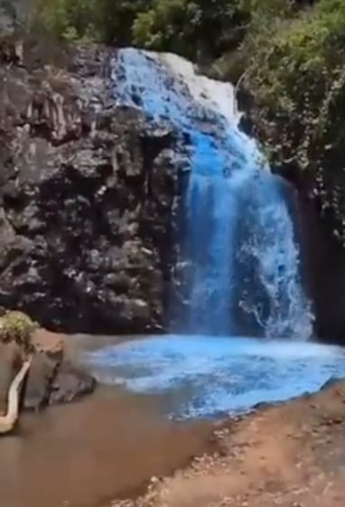 Gender reveal party en cascada