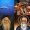 ¿Qué se celebra el 2 de mayo? Día Internacional contra el Bullying, Día Mundial del Atún, Día Internacional de la Tuba, Aniversario de muerte de Leonardo Da Vinci y el santoral a San Atanasio