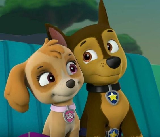 Chase y Skye de Paw Patrol