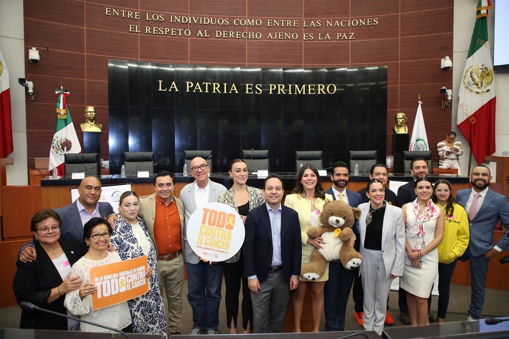 Movimiento Ciudadano organizó el parlamento “Todo contra el cáncer” en la Cámara de Senadores