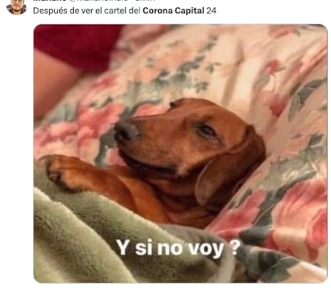 memes del cartel de Corona Capital 2024
