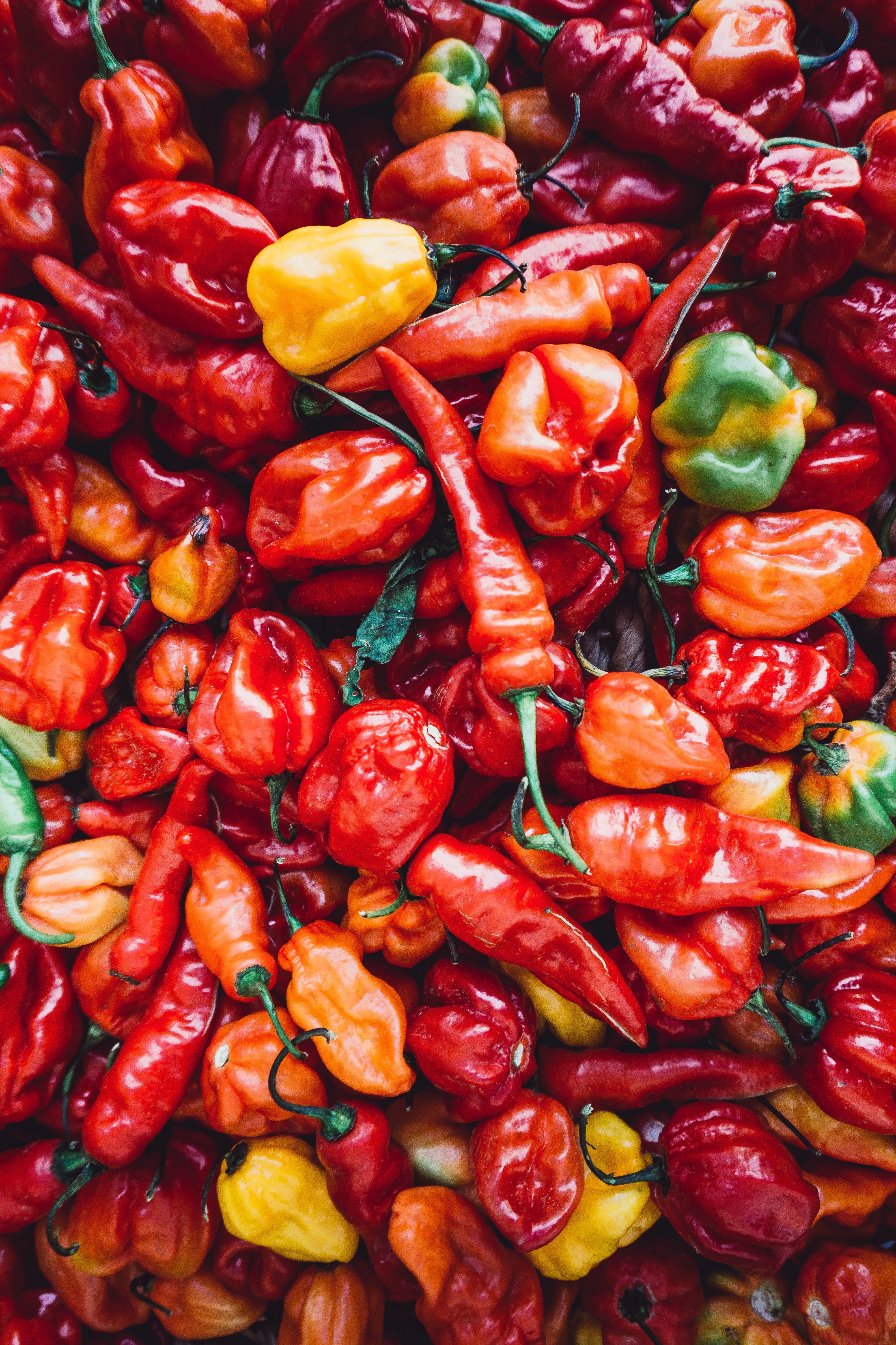 Este 16 de enero es el Día Internacional de la Comida Picante
