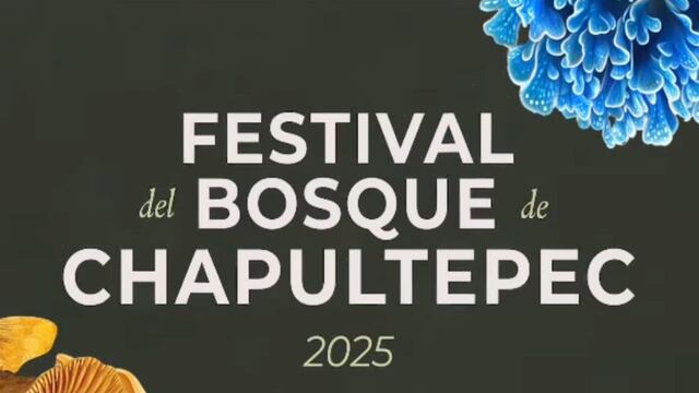 Picnic nocturno en Bosque de Chapultepec