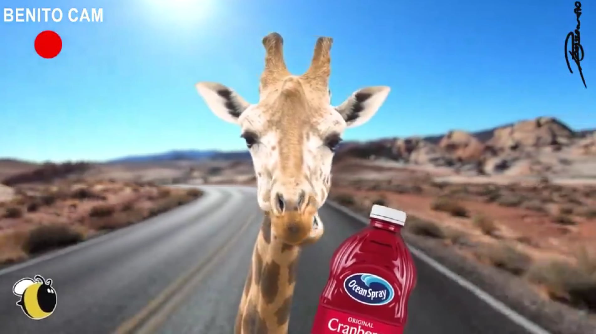 Memes de la Jirafa Benito