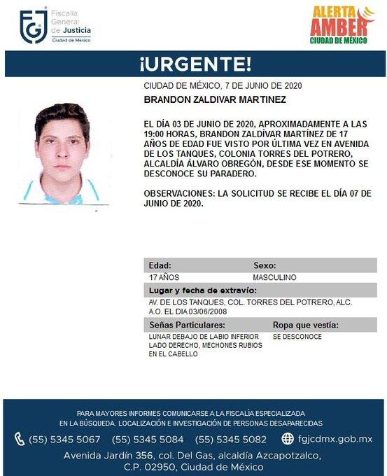 Ficha de búsqueda.