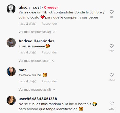 Reacciones al perrito que sale de paseo con sus tenis "Converse"