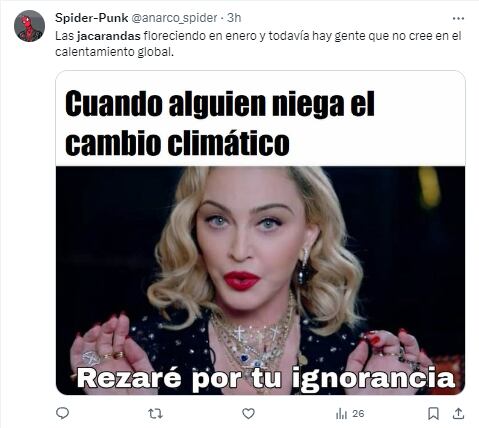 Memes de jacarandas floreciendo en enero