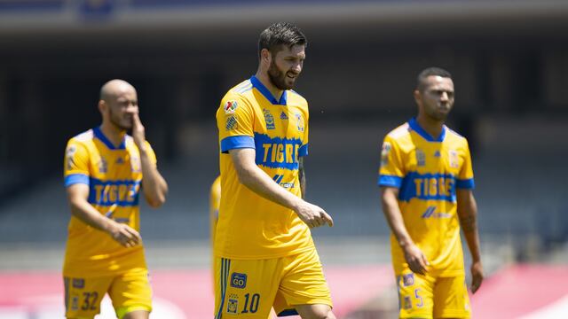 Tigres