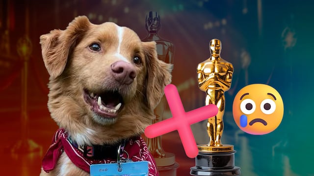 El perro de Good Boy envía una carta tras no haber sido considerado para la temporada de premios 2026