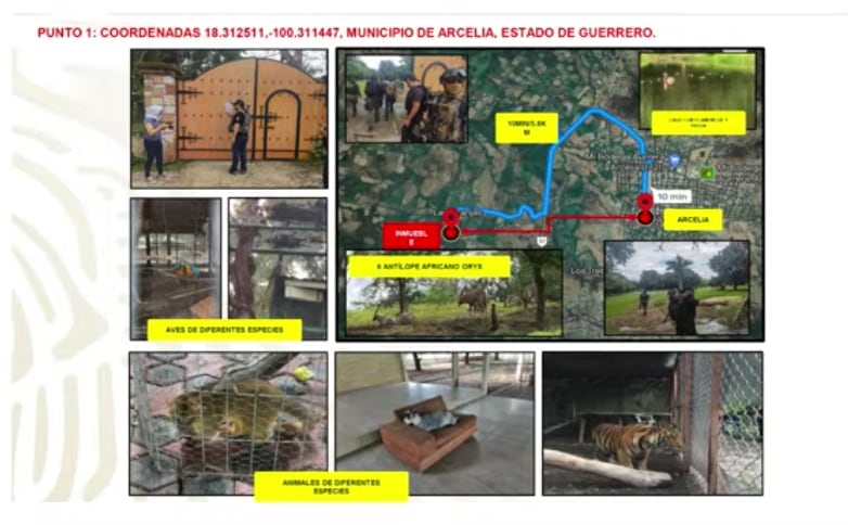 Aseguran inmuebles de El Fresa y El Pez