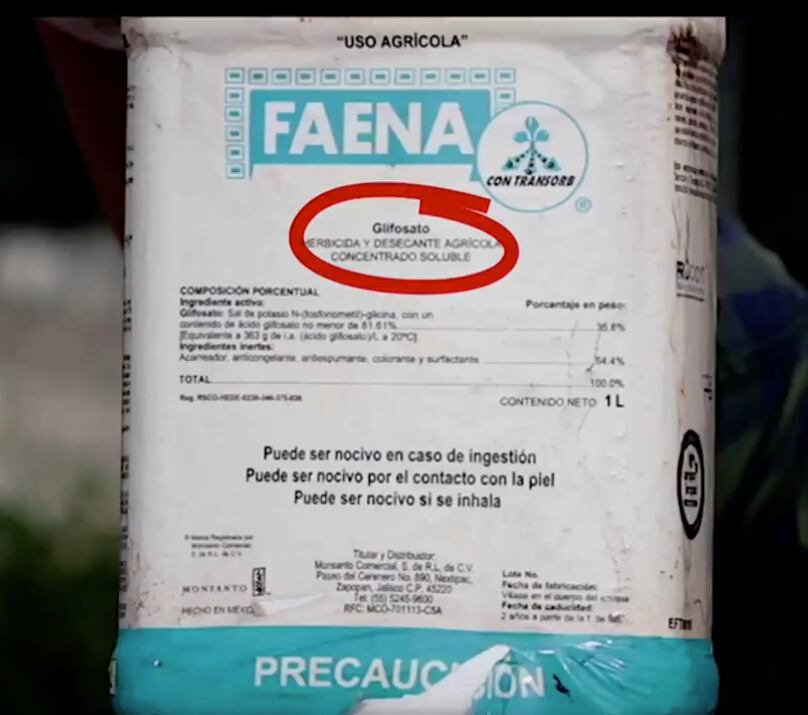 El glifosfato puede provocar defectos en el desarrollo de los niños.