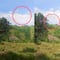 VIDEO: Dron derriba helicóptero de la policía de Colombia durante erradicación de hoja de coca; suben a 13 los policías muertos