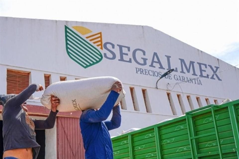 Segalmex