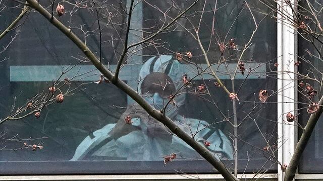 Investigan origen de la Covid-19