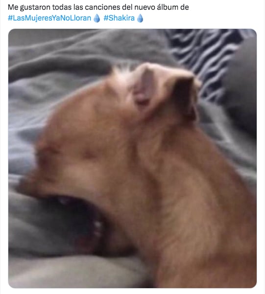 Memes del nuevo disco de Shakira