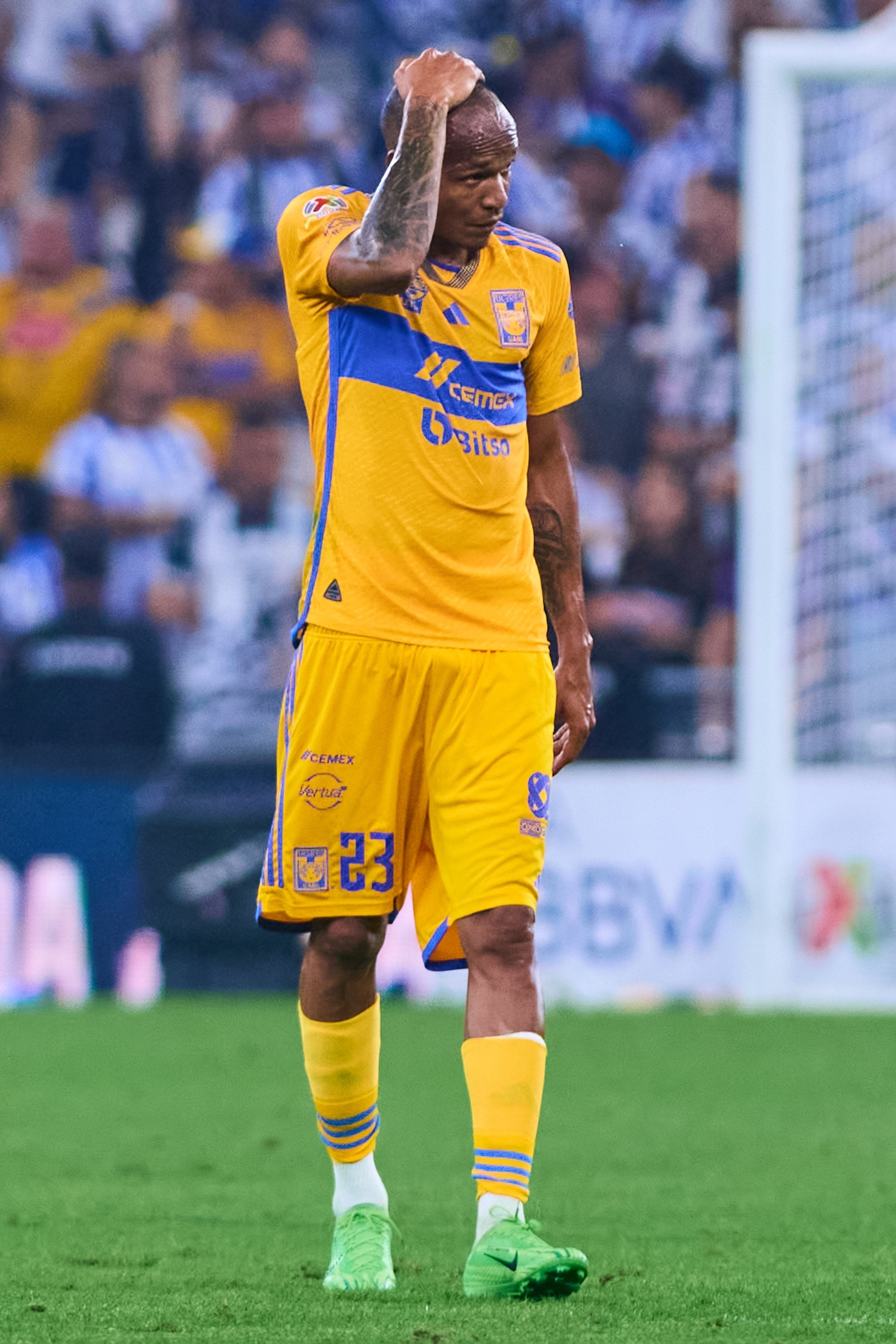 Figura de Tigres pide su salida del equipo