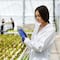 Busca Grupo Kosmos mejorar calidad alimentaria