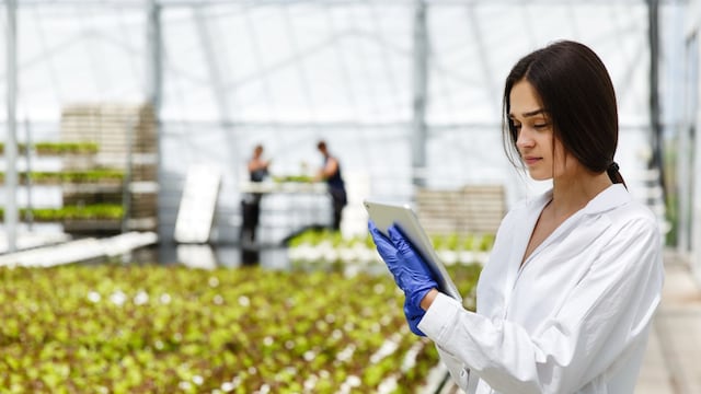 Grupo Kosmos impulsa la innovación con agricultura digital.