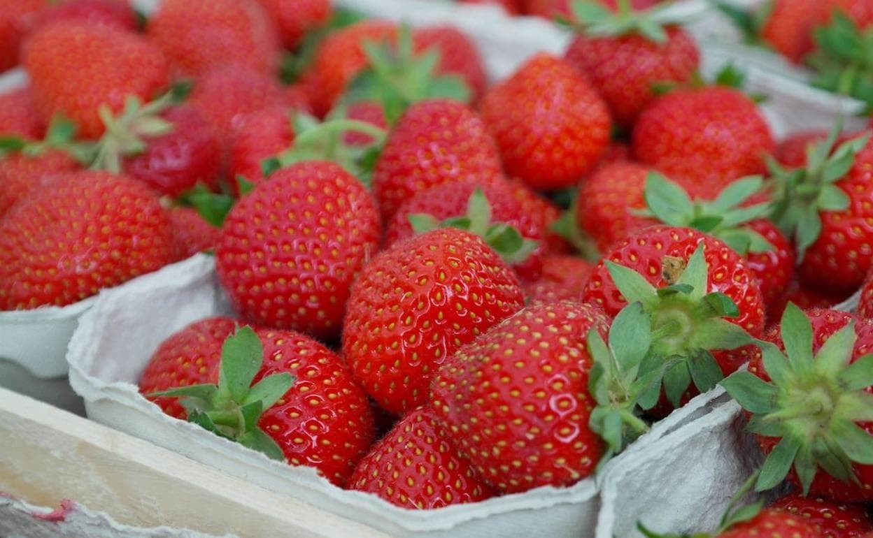 Fresas