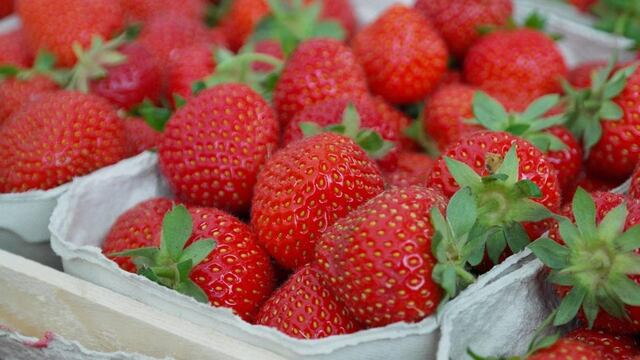 Fresas