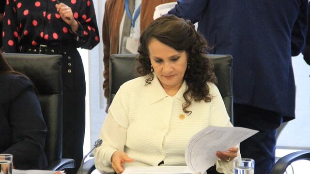 Rosario Robles, vicepresidenta de la Mesa Directiva de la Cámara de Diputados.