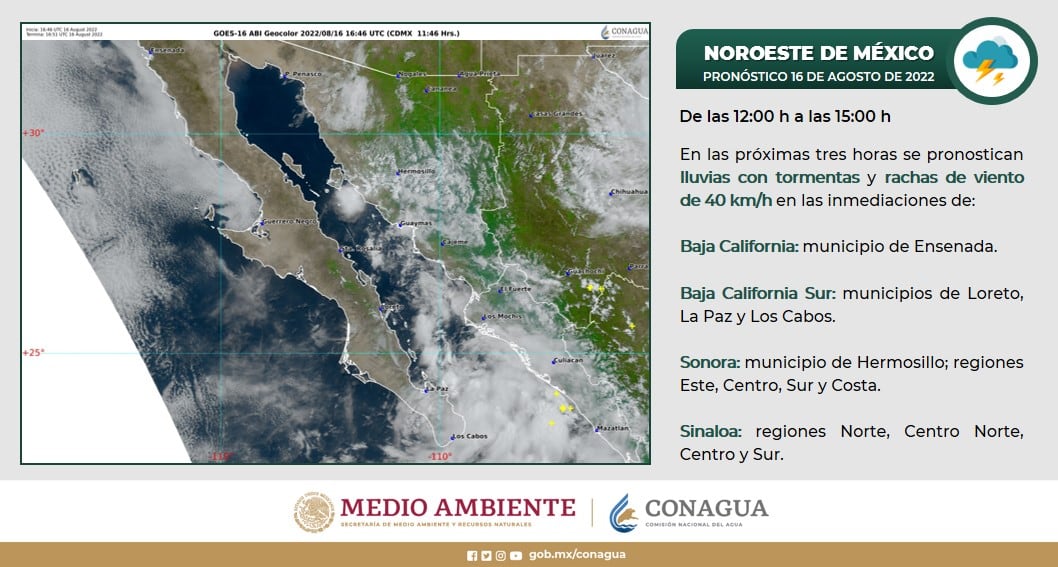 VIDEO: Pipa en Los Mochis, Sinaloa, cumple con su trabajo al regar árboles... pero estaba lloviendo