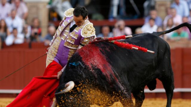 Corridas de toros regresarán a CDMX