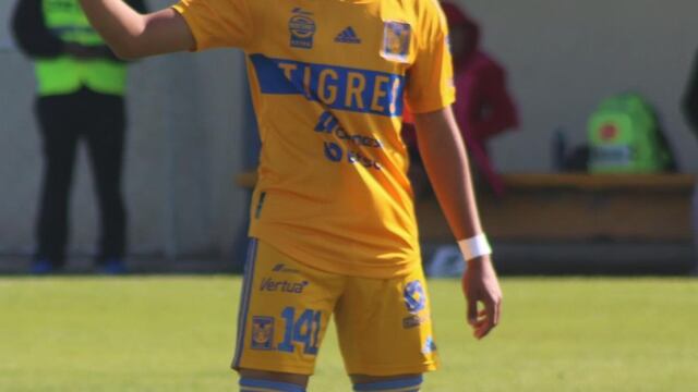 Joya de Tigres ficha con el Al-Ain FC.