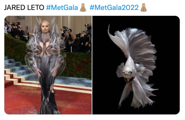 Meme de Jared Leto en MET Gala 2022