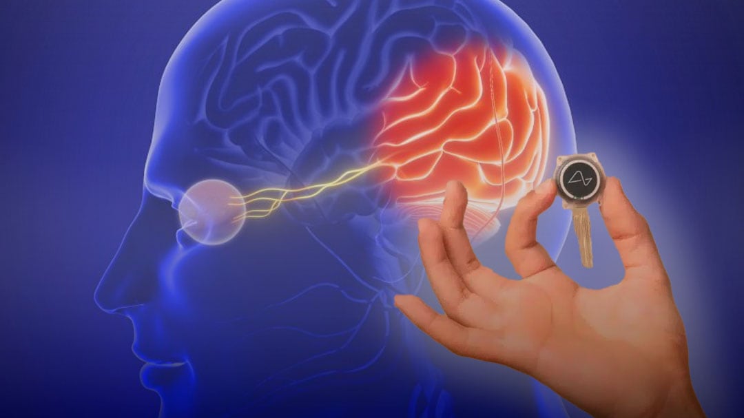 Blindsight: el ambicioso chip de Neuralink para devolver la visión