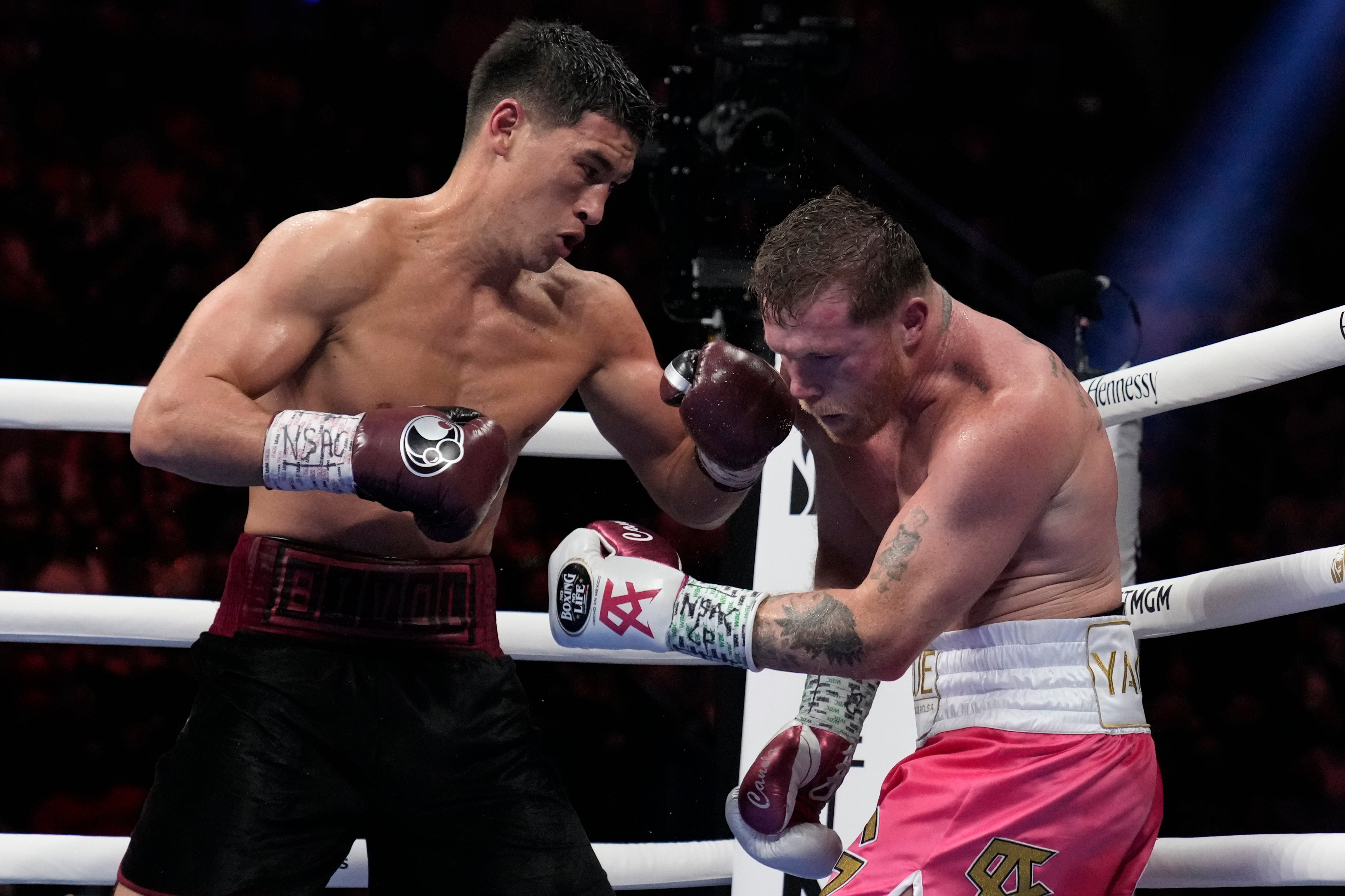 Dmitry Bivol vs Canelo (AP Photo/John Locher)