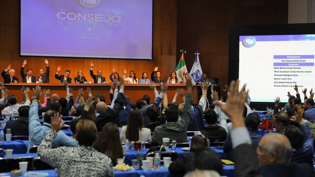 aprueba Consejo Nacional del PAN comisiones especiales