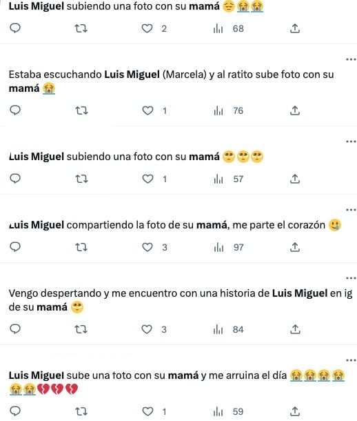 Reacciones por la foto de Luis Miguel y Marcela Basteri en el Día de las Madres