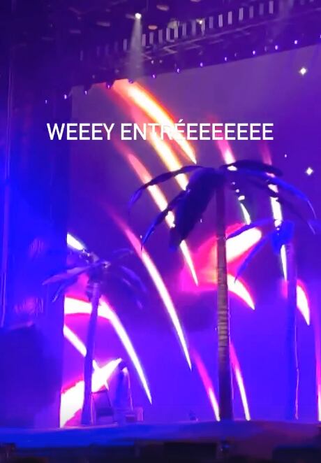 Concierto de Bad Bunny