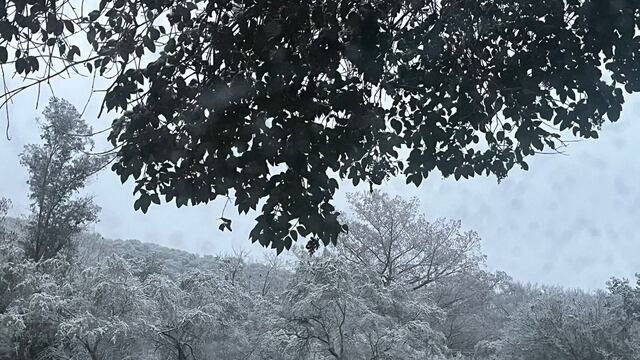 Nevada en Allende, Nuevo León