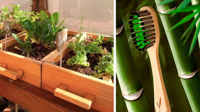 Tips para agregar a tu rutina que son buenos para ti y buenos para el planeta