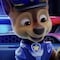 ¿Qué raza es Chase de Paw Patrol? 5 imágenes que te lo dejan bien claro