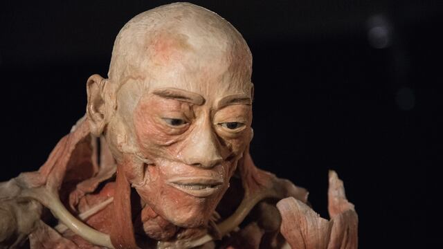 Our Body: El Universo Dentro