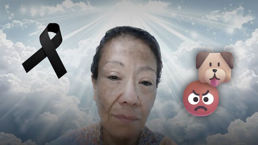 Por defender a sus perritos…