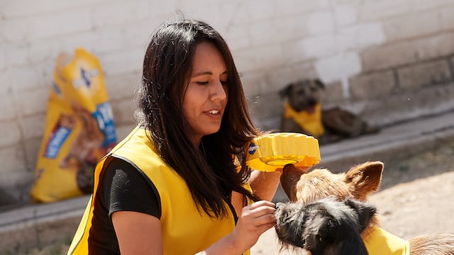 El programa Pedigree® Adóptame cumple 15 años y celebra las miles de vidas beneficiadas.