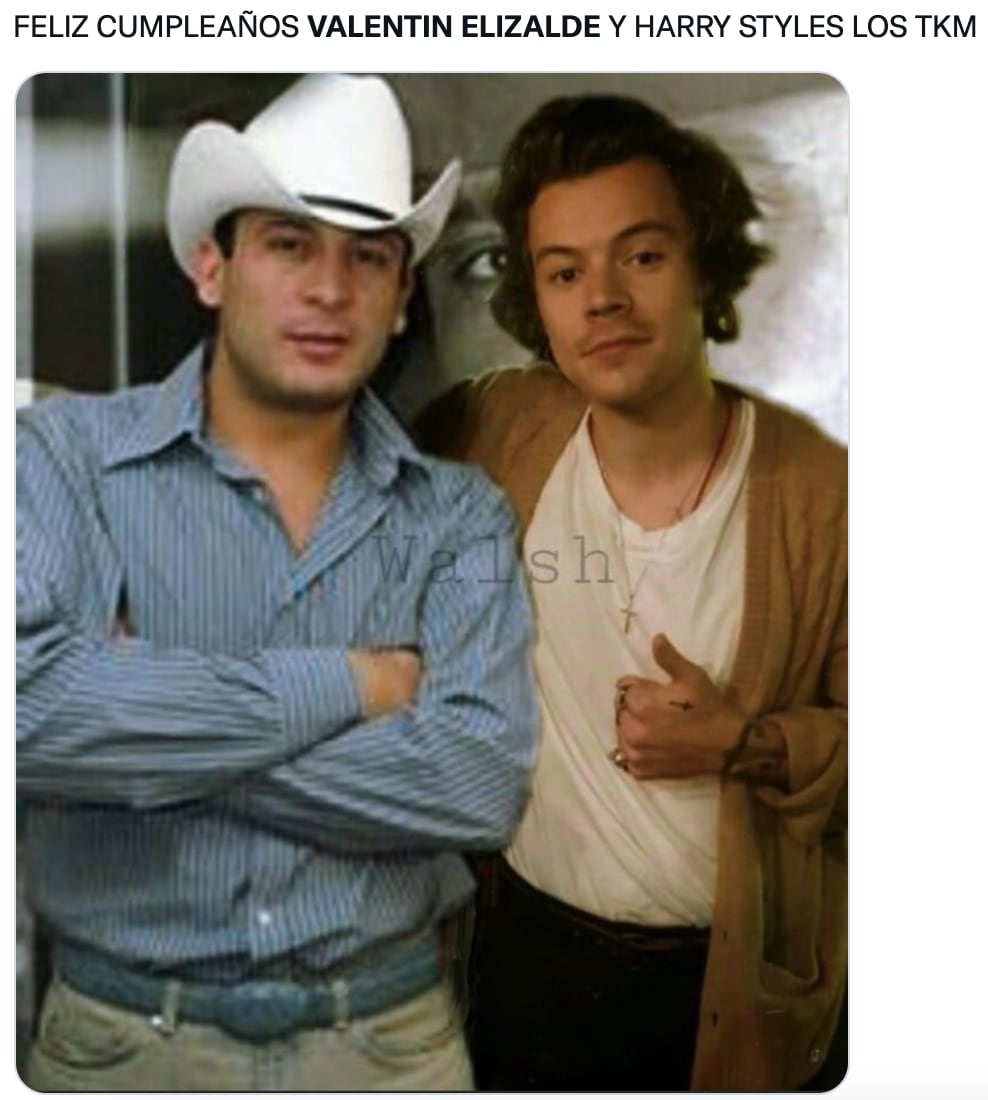 Memes de Harry Styles y Valentín Elizalde