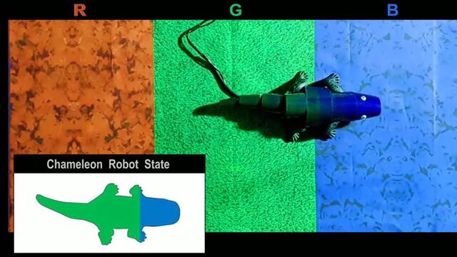 Robot Camaleón