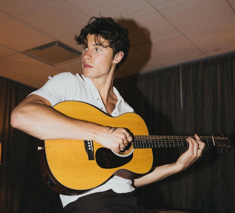 Shawn Mendes, cantante.