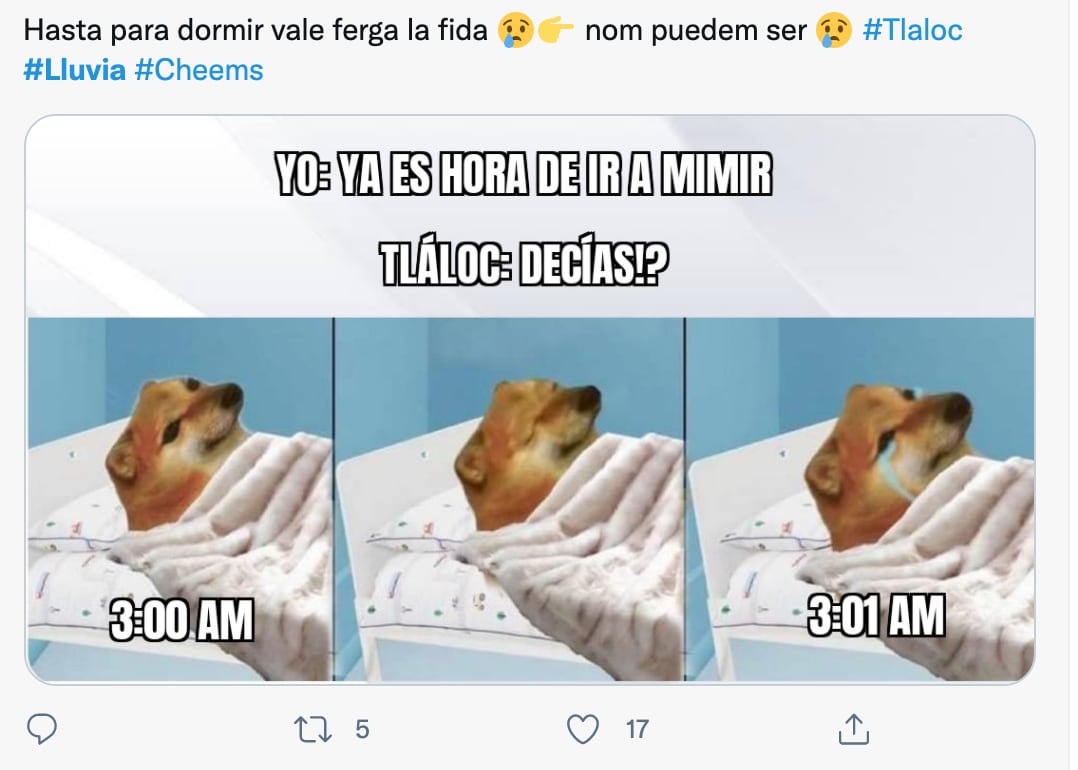 Meme