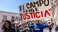 Zacatecas: el frijol se paga barato porque alguien decidió que así debía ser