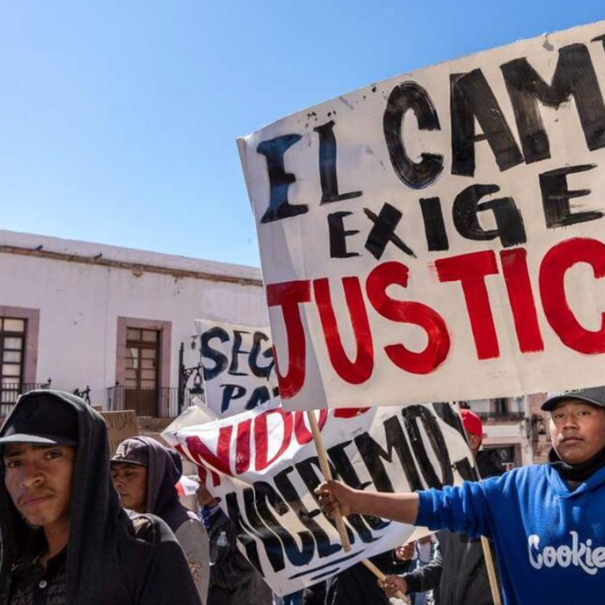 Zacatecas: el frijol se paga barato porque alguien decidió que así debía ser