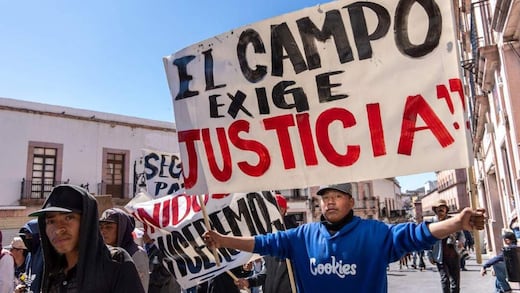 Zacatecas: el frijol se paga barato porque alguien decidió que así debía ser