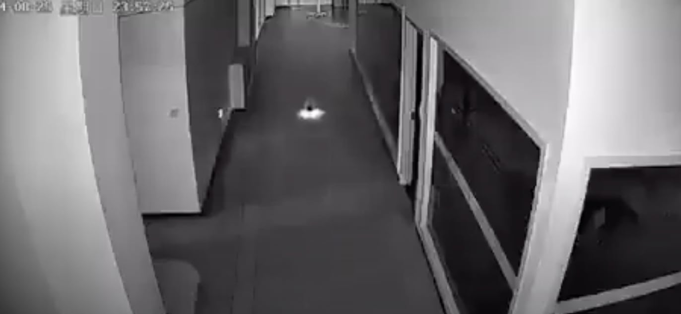 Robot con inteligencia artificial convence a otros para que dejen de trabajar