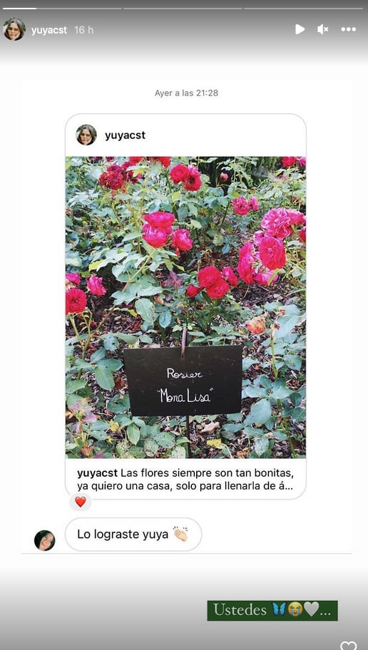 Recuerdo de que Yuya manifestó una casa para llenarla de flores.