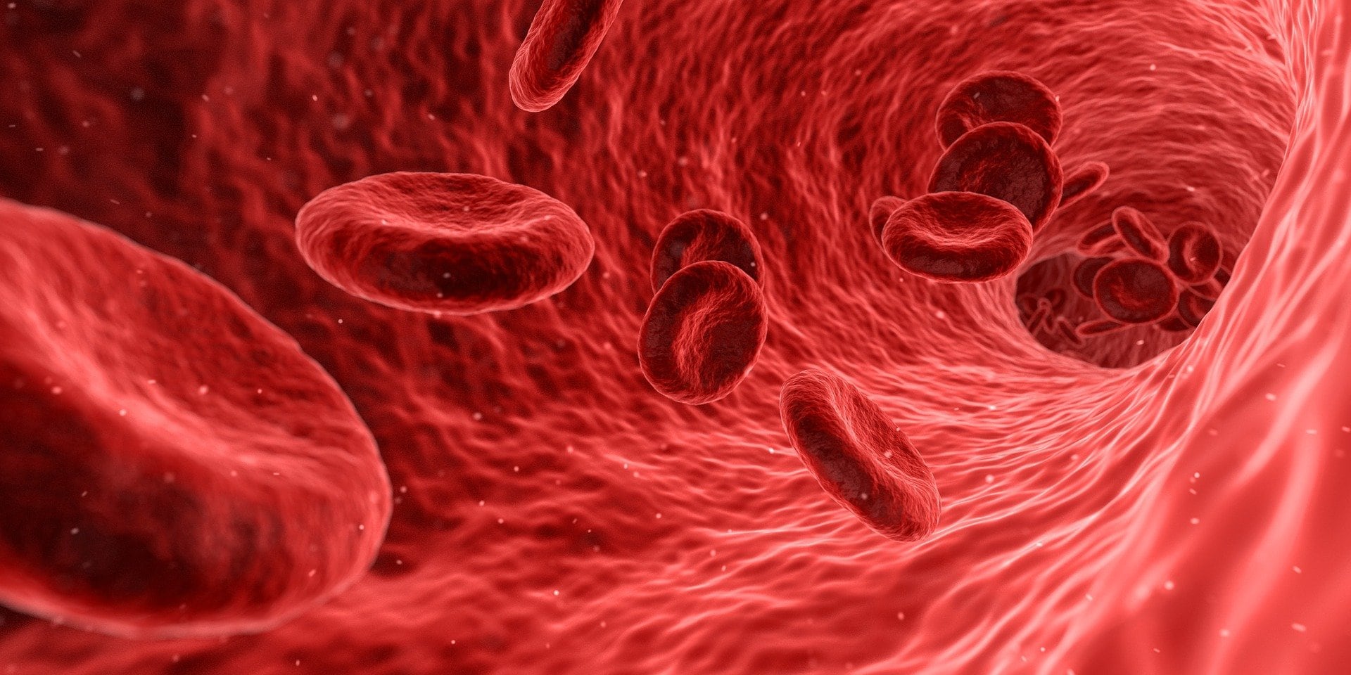 Células de sangre